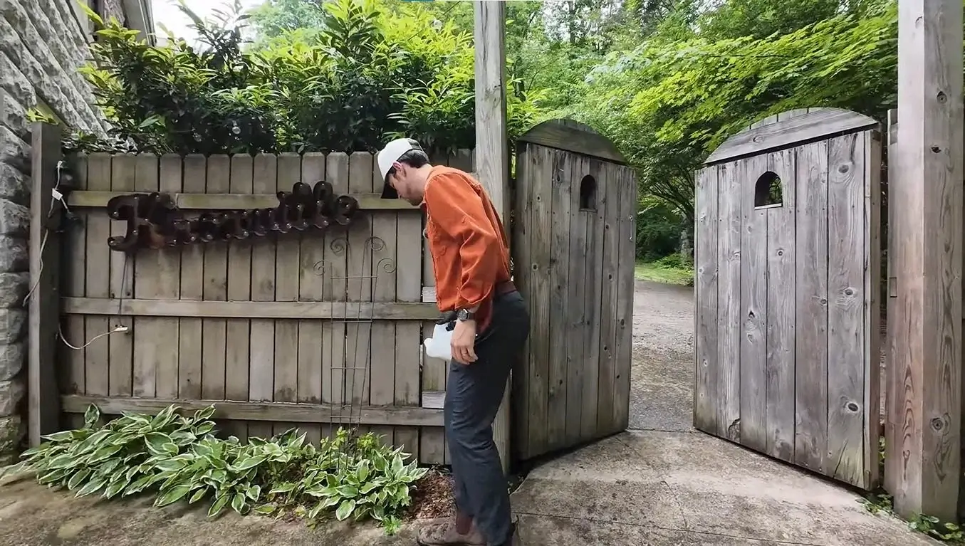 Checking a weathered wooden gate and fence for termite damage